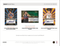 2024-25 Panini Select Basketball Hobby Mega 20-Box Case