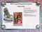 2025 Topps Disney Wonder Hobby Box