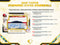 2025 Topps Diamond Icons Baseball Hobby 2-Box Case