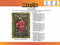 2024/25 Topps Merlin UEFA Champions League Blaster 40-Box Case
