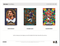 2025 Panini Mosaic Football Hobby Box